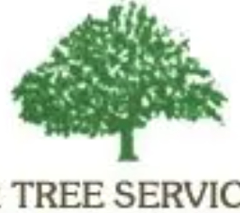 Royer Tree Service Inc - Dedham, MA