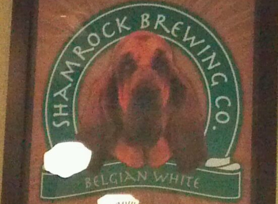 Shamrock Brewing Company - Pueblo, CO