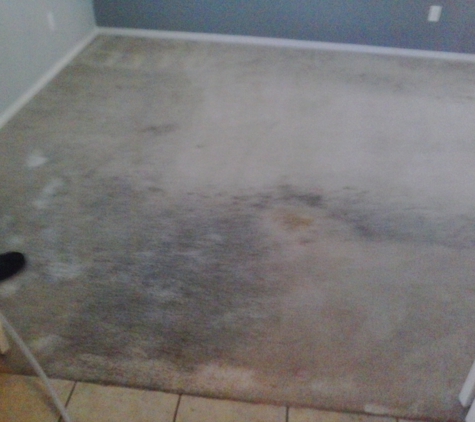 Pro-tect Carpet Cleaning - Hemet, CA