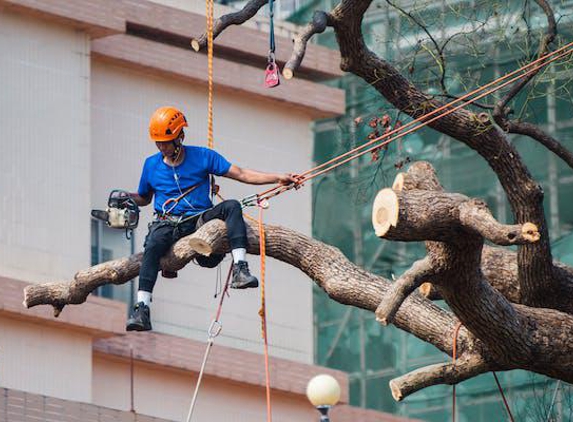 M & M Tree Service Inc - Pottstown, PA