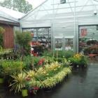 Treeland Garden Center & Nursery