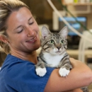 The COVE - Center of Veterinary Expertise - Veterinarian Emergency Services