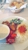 Nirvana Indian Restaurant - Indian Restaurants