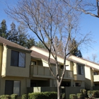 Springwood Apartments