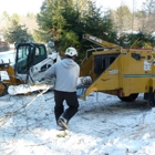 New England Tree Pros Inc