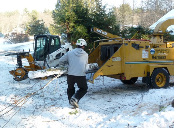 New England Tree Pros Inc - Monson, MA