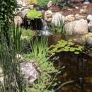 Just Pondering - Ponds, Lakes & Water Gardens Construction