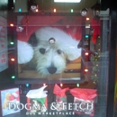 DOGMA & FETCH - Dog & Cat Grooming & Supplies