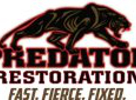 Predator Restoration - Humble, TX