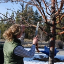 ArborSurveys Professional Tree Care - Arborists