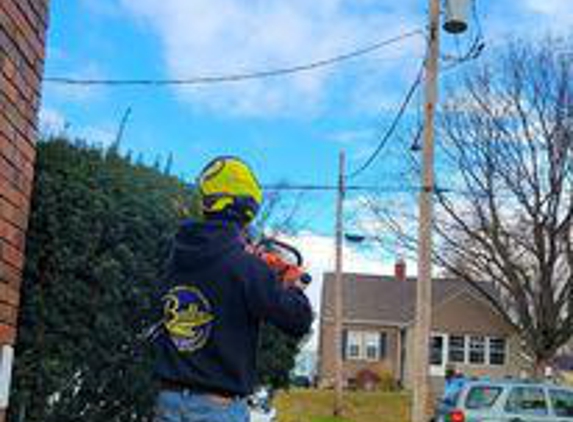 Bully's Tree Service - Metamora, IL