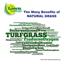 Fairway Green Lawn Care - Gardeners