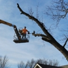 Patriot Tree Service gallery