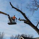 Patriot Tree Service - Tree Service