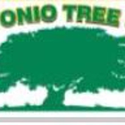 San Antonio Tree Service