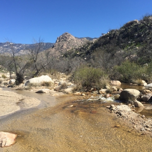 Catalina State Park - Tucson, AZ