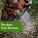 North County Tree - Tree Service