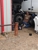 In Route Fleet Services - Trucking-Motor Freight