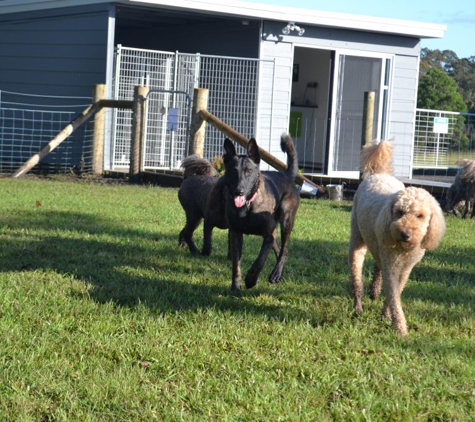 Paradise Pet Parks - Falls Creek, NSW