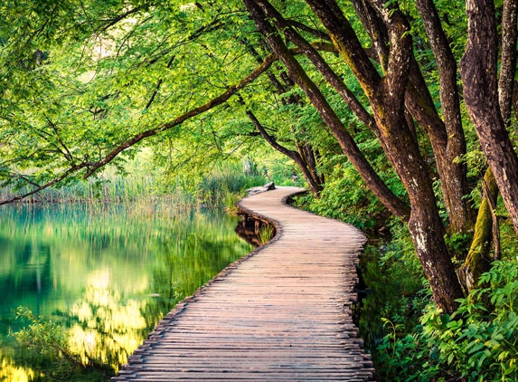 Australian Direct Cremations & Funeral Services - Newcastle, NSW