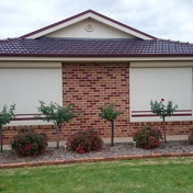 Gallery Image Number 5