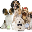Petite Pup Mobile Dog Grooming - Pet Grooming