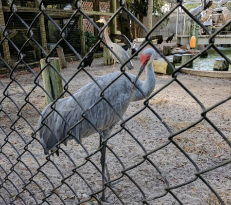 Peace River Wildlife Center - Punta Gorda, FL