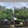 Samuel's Tree Service gallery