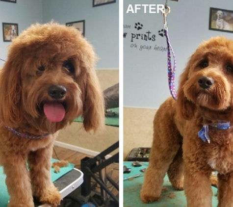 Raven's Pampered Pets Salon - Muscatine, IA