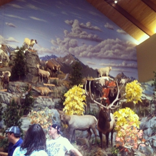 Cabela's - Thornton, CO