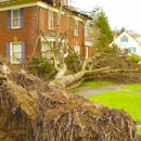 Cascade Tree Service - Tree Service