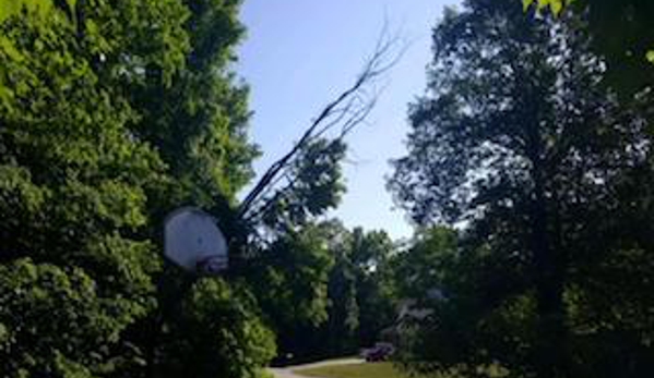 Whistler's Tree Experts - Seymour, IN