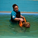 Animal House - Jacksonville - Hostels