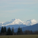 Mountain Veiw Cabins