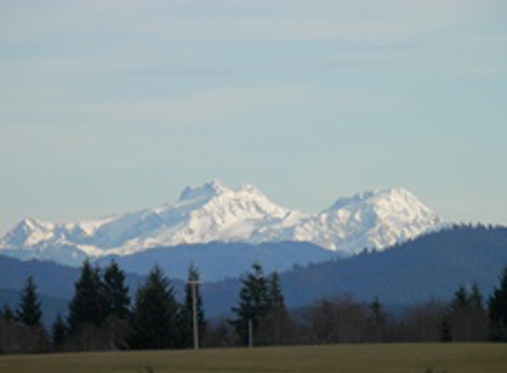 Mountain Veiw Cabins - Forks, WA