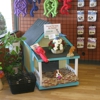 Earthwise Pet gallery