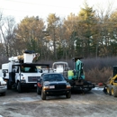 Carls Tree Removal Service - Tree Service