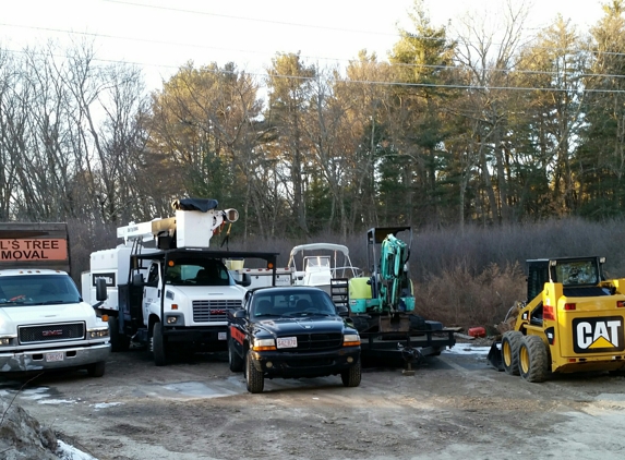 Carls Tree Removal Service - North Billerica, MA