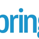 MainSpring - Computer Security-Systems & Services