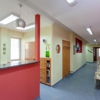 Image Painting gallery
