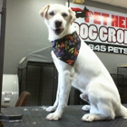 Pet Heroes Dog Grooming