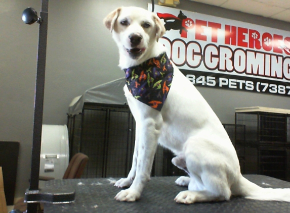 Pet Heroes Dog Grooming - El Paso, TX