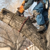 E & B Tree Service gallery