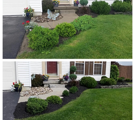 Proscapes Landscape Construction - Depew, NY