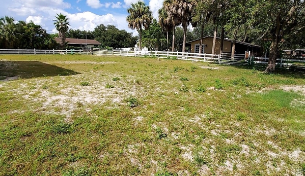 Zen Do USA Horse Boarding Stables - Davie, FL. We offer horse boarding.
Owned and operated by a Disabled American Veteran.
Quite professional stable atmosphere.