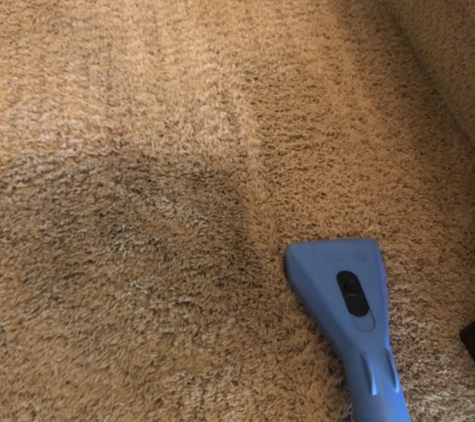 Silver Olas Carpet Tile Flood Cleaning - Carlsbad, CA. area rug cleaning