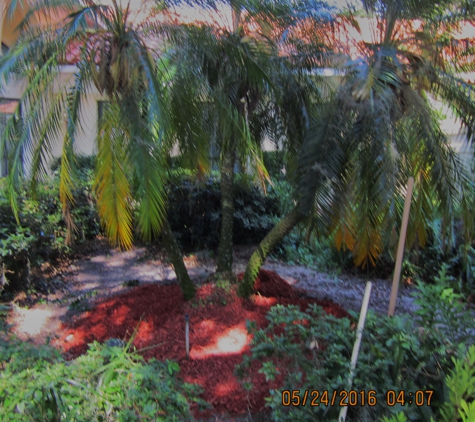 Douglas Landscape & Lawn Service - Wildwood, FL