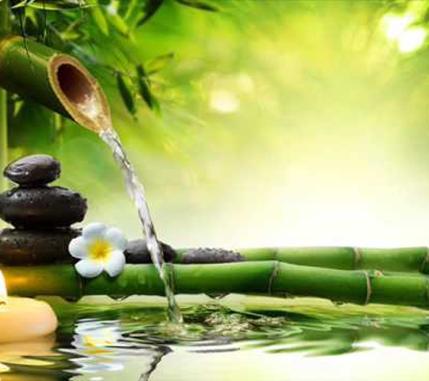 Bamboo Healthy Spa Inc - Tampa, FL