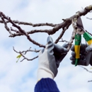 Bobmar Lawn & Tree Service - Tree Service