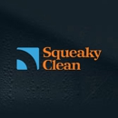 The Squeaky Clean Company - Roof Cleaning